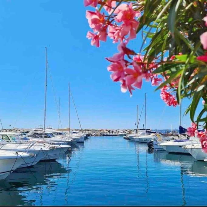 Villa Alisa Avec Piscine Privee Roquebrune-sur Argens Εξωτερικό φωτογραφία