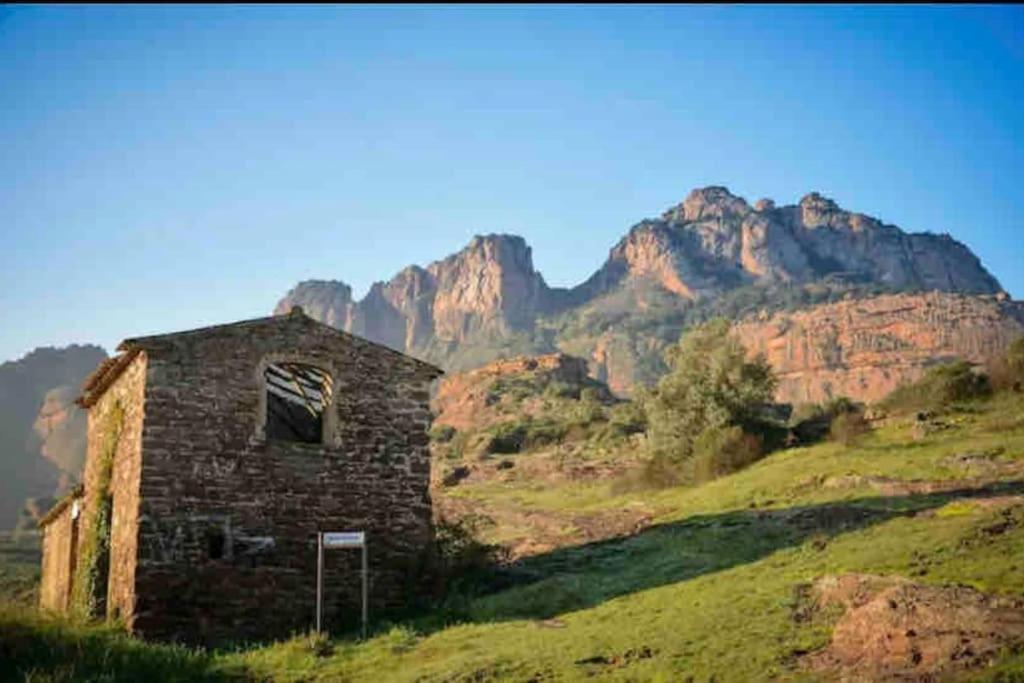 Villa Alisa Avec Piscine Privee Roquebrune-sur Argens Εξωτερικό φωτογραφία