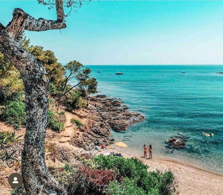 Villa Alisa Avec Piscine Privee Roquebrune-sur Argens Εξωτερικό φωτογραφία