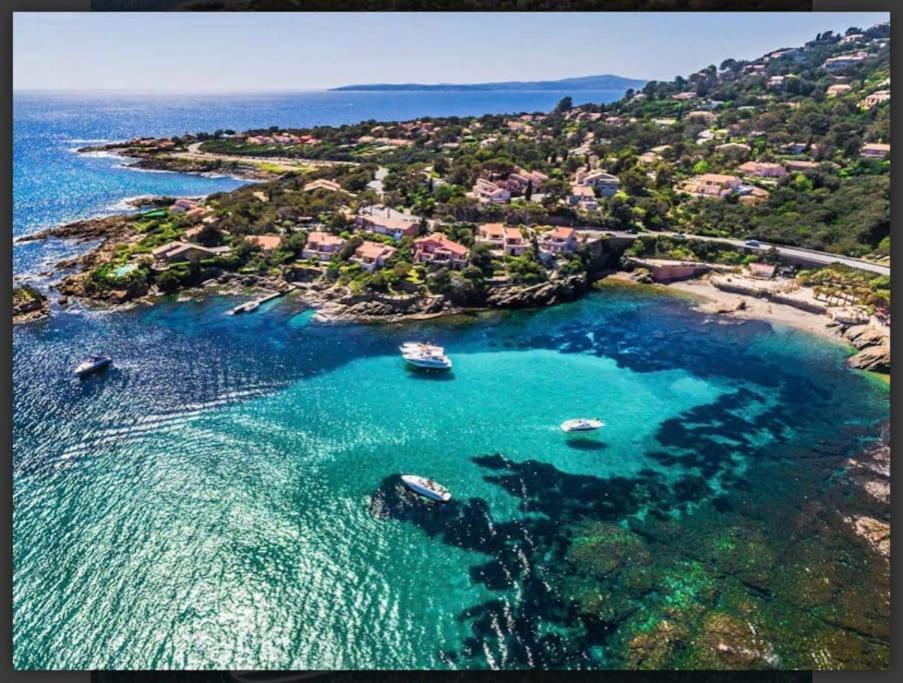 Villa Alisa Avec Piscine Privee Roquebrune-sur Argens Εξωτερικό φωτογραφία